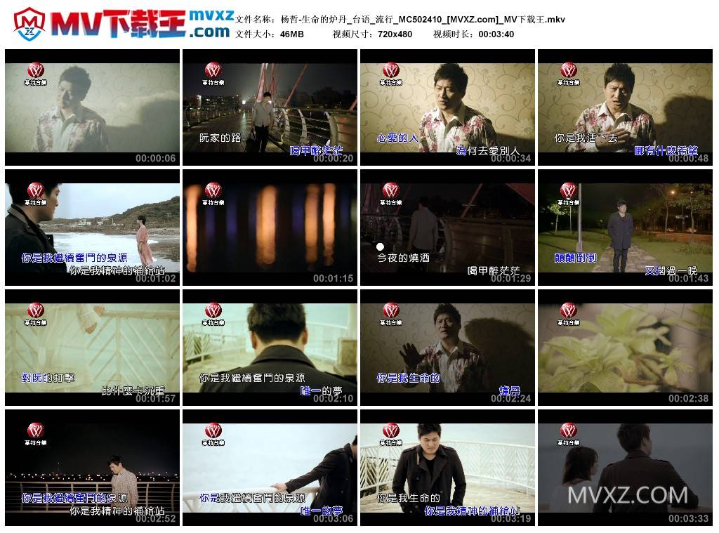 杨哲-生命的炉丹_台语_流行_MC502410